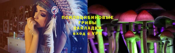 jwh Гусев