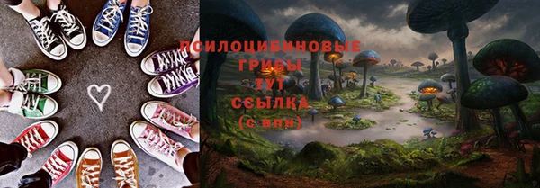 таблы Гусиноозёрск