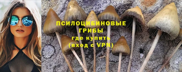 jwh Гусев